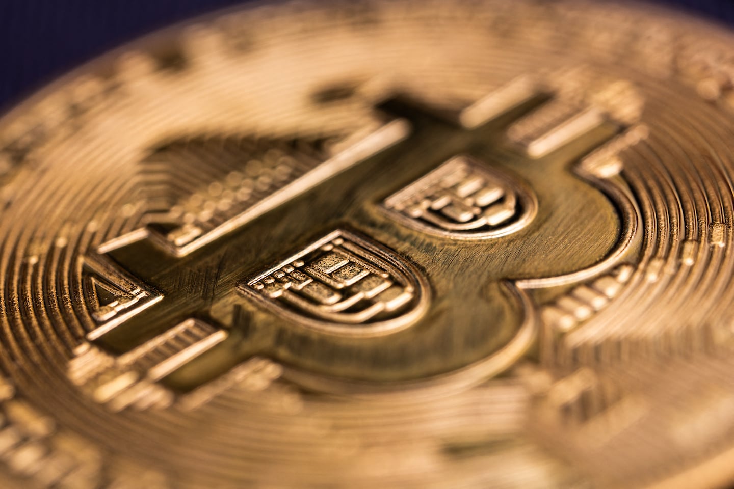global crypto stable